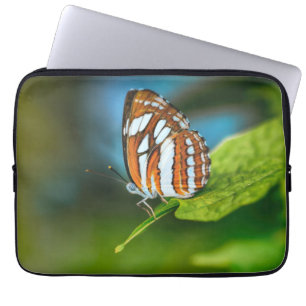 Weißes und orangefarbenes Schmetterling Laptopschutzhülle