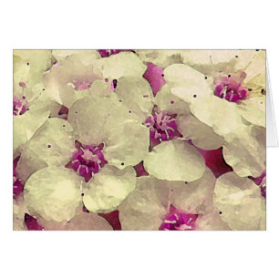 Weißes und rosa Blumen