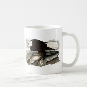 Weißes vorangegangenes Eagle   John James Audubon Tasse