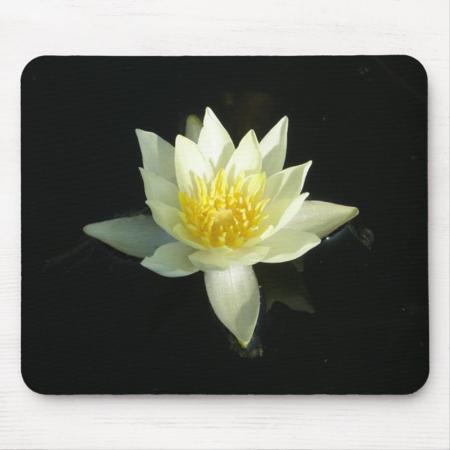 Weißes Wasser-Lilie/Lotus Mousepad (Vorne)