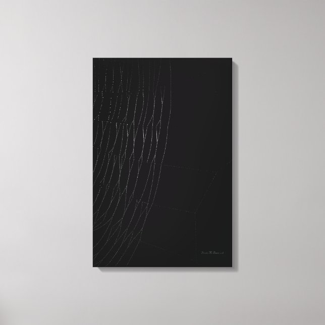 Weißes Web mit schwarzer Leinwand (Vorderseite)