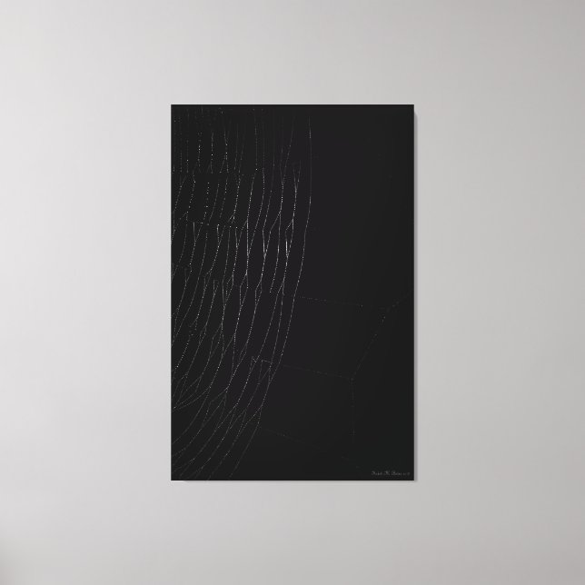 Weißes Web mit schwarzer Leinwand (Vorderseite)