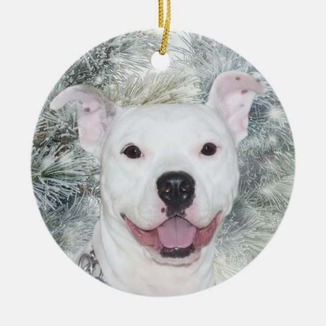 Weißes Weihnachten Pitbull Keramikornament (Vorne)