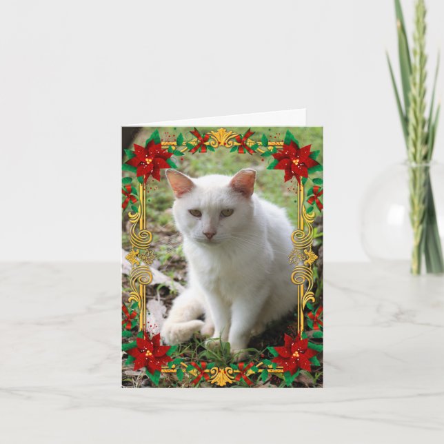 Weißes Weihnachtstraum-Katzen-Feiertags-Karte Feiertagskarte (Vorderseite)