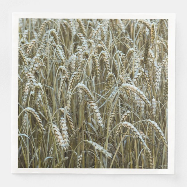 Weißfelderpapier Napkins Serviette (Vorderseite)