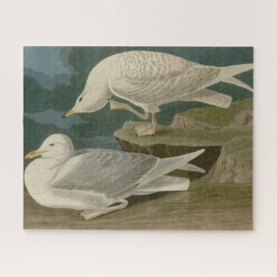 Weißflügelige Silbermöwe Audubon Birds of America Puzzle
