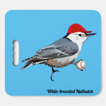 Weißgebratener Nuthatch