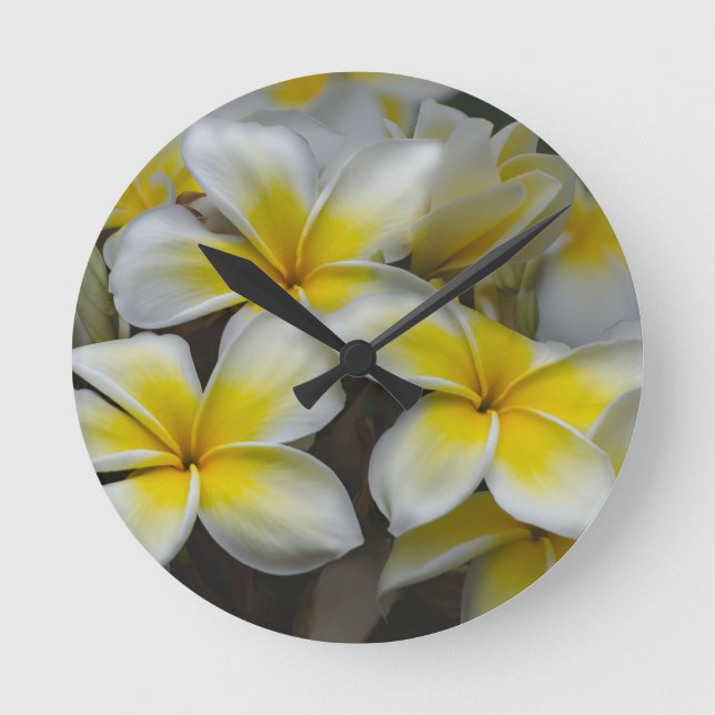 Weißgelbe Plumeria Runde Wanduhr (Vorderseite)