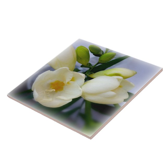 Weißgelbes Gefriermittel Fliese (Seite)