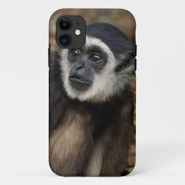 Weißhandgeschmack (Hylobates Lar), Monkeyland Case-Mate iPhone Hülle (Rückseite)
