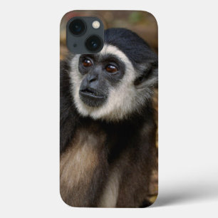 Weißhandgibbon (Hylobates Lar), Monkeyland Case-Mate iPhone Hülle