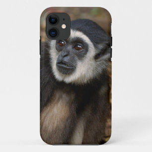 Weißhandgibbon (Hylobates Lar), Monkeyland Case-Mate iPhone Hülle