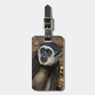 Weißhandgibbon (Hylobates Lar), Monkeyland Gepäckanhänger