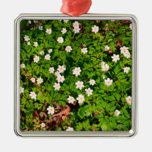 Weißholz Anemone Frühlingsblumen Ornament Aus Metall