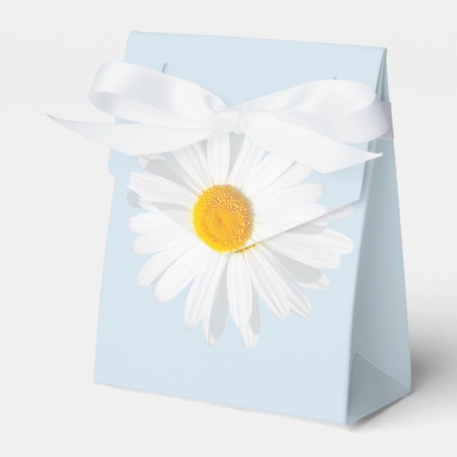 Weißkäfer Geschenkschachtel (Vorderseite)