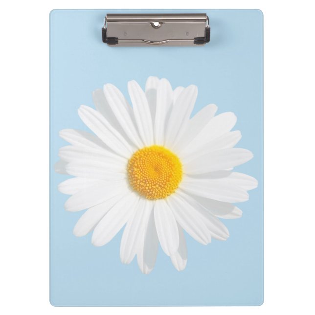 Weißkäfer Klemmbrett (Vorderseite)