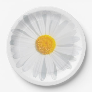 Weißkäfer Pappteller