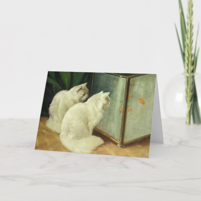 Weißkatzen sehen Goldfish zu Karte (Vorderseite)