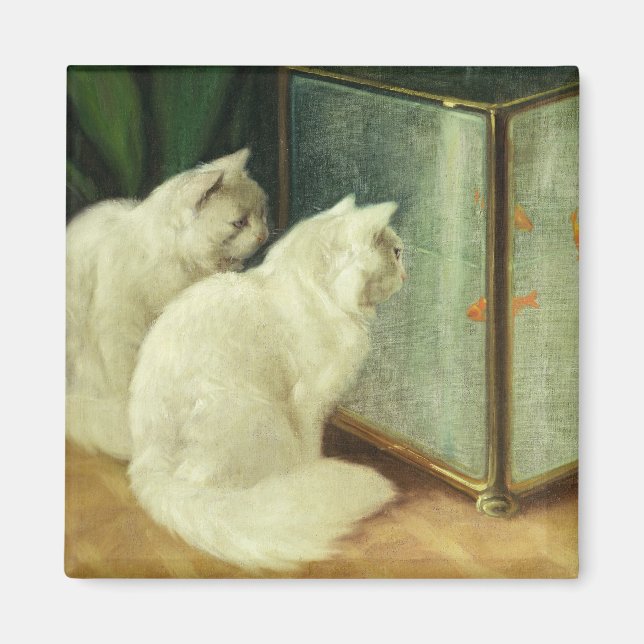 Weißkatzen sehen Goldfish zu Magnet (Vorne)
