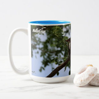 Weißkehl-Eisvogel Blaue Tasse - Vogel auf Baum