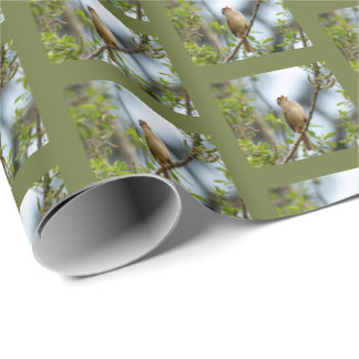 Weißkopfammer - Vogel-Fotografie als Kunst Geschenkpapier