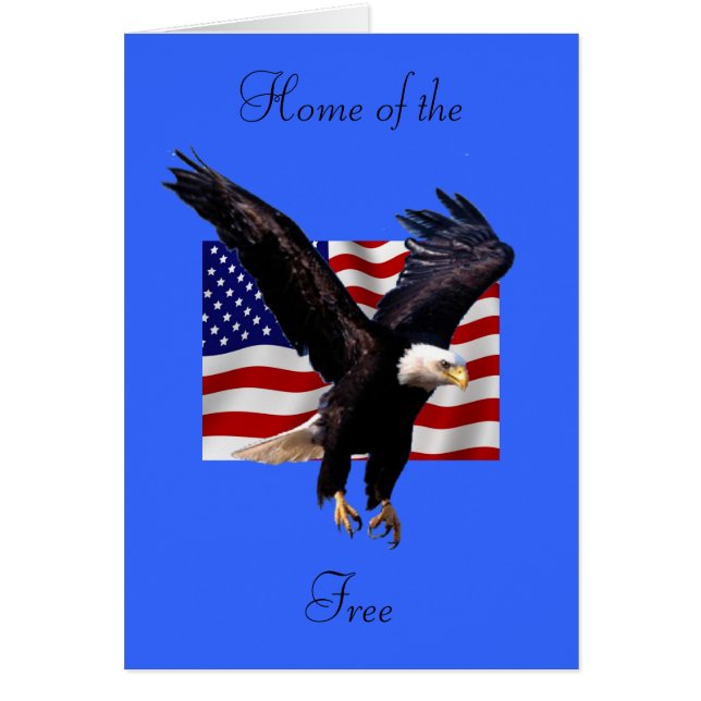 Weißkopfseeadler (Vorne)