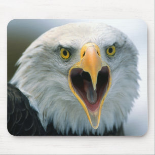 Weißkopfseeadler #2-Mousepad Mousepad