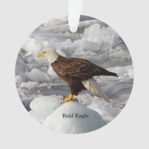 Weißkopfseeadler-Acrylnormament Ornament