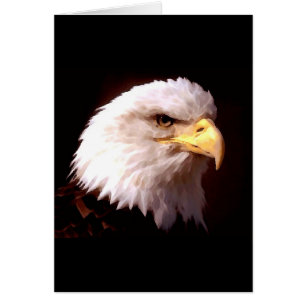 Weißkopfseeadler-Amerikaner Eagle