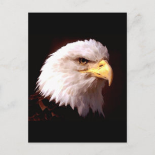 Weißkopfseeadler-Amerikaner Eagle Postkarte