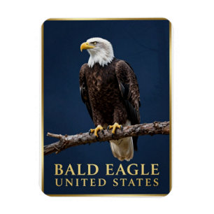 🦅 Weißkopfseeadler Amerikanische Wildnis Magnet