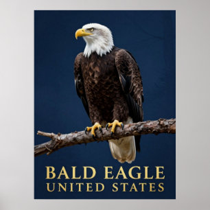 🦅 Weißkopfseeadler Amerikanische Wildnis Poster