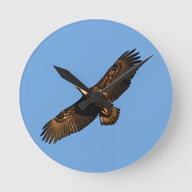 Weißkopfseeadler ansteigende 2 runde wanduhr (Vorderseite)