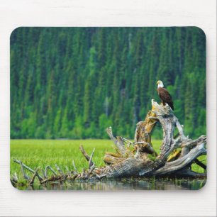 Weißkopfseeadler auf Ast sitzend Mousepad