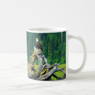 Weißkopfseeadler auf einem Ast sitzend Tasse
