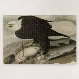 Weißkopfseeadler (Bald Eagle) Audubon Birds of Ame Puzzle
