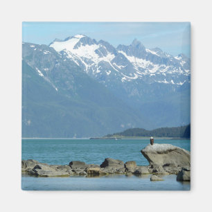 Weißkopfseeadler bei Skagway Alaska Magnet