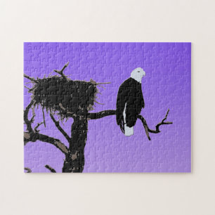 Weißkopfseeadler bei Sonnenuntergang - Originale W Puzzle
