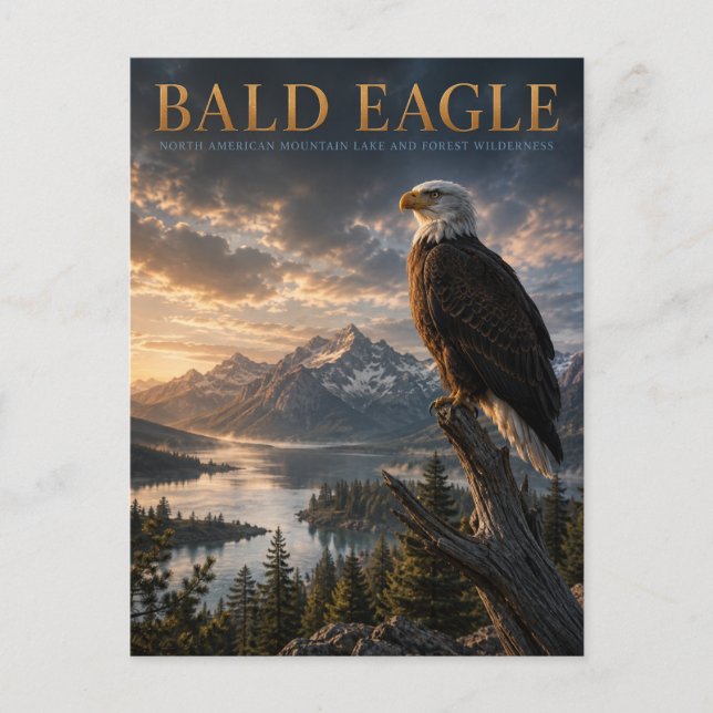 Weißkopfseeadler-Bergsee-TIERE Postkarte (Vorderseite)