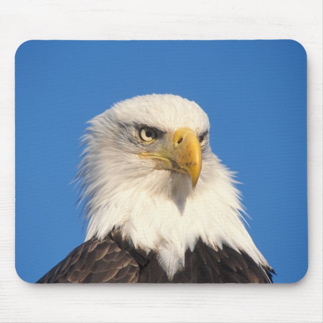 Weißkopfseeadler Blick Mousepad (Vorne)