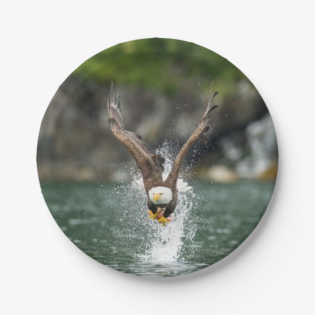 Weißkopfseeadler der große Fang Pappteller (Vorderseite)