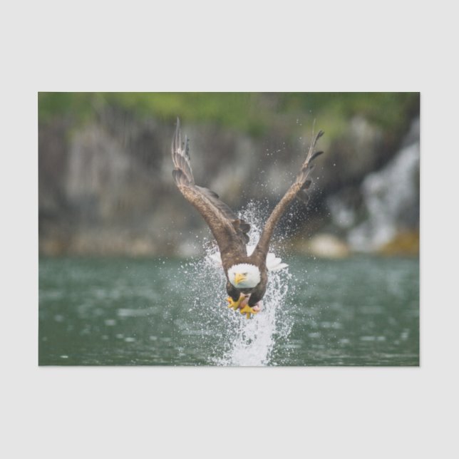 Weißkopfseeadler der große Fang Seidenpapier (Vorderseite)