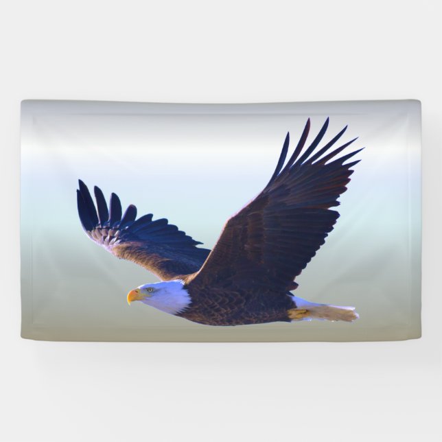 Weißkopfseeadler-Fliegen Banner (Horizontal)