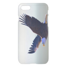 Weißkopfseeadler-Fliegen