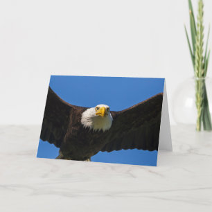Weißkopfseeadler fliegt ganz nah vorbei karte