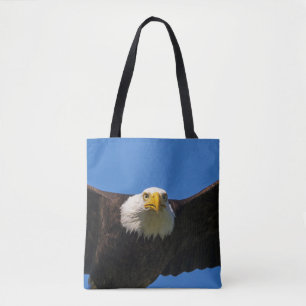 Weißkopfseeadler Flug nah