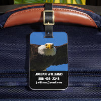 Weißkopfseeadler Flug nah
