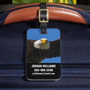Weißkopfseeadler Flug nah Gepäckanhänger