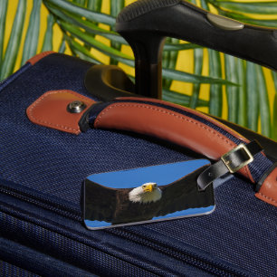 Weißkopfseeadler Flug nah Gepäckanhänger