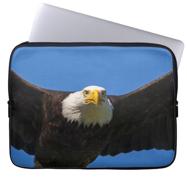 Weißkopfseeadler Flug nah Laptopschutzhülle (Vorderseite)
